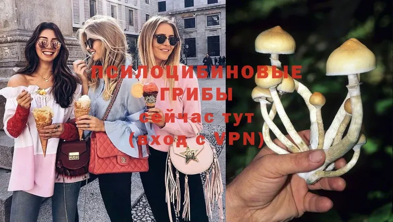 Псилоцибиновые грибы MAGIC MUSHROOMS  Кирово-Чепецк 